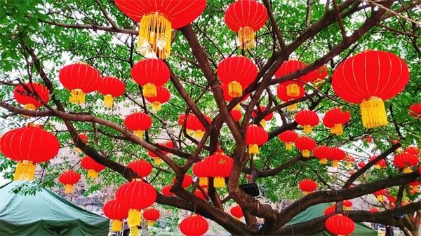 迈步2024甲辰龙年：逐光破云，谱写新篇(图4)